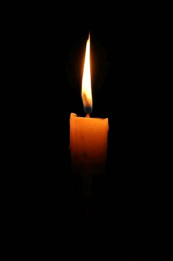Diane Pearson Obituary Hooksett, NH Death